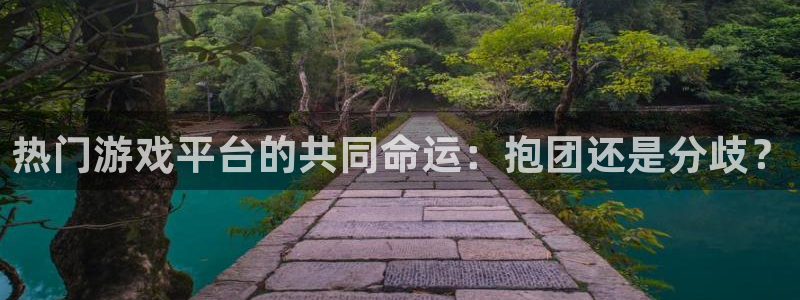 亿万28官网客服招聘：热门游戏平台的共同命运：抱团还是分歧？