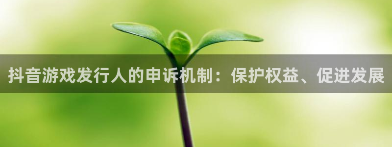 亿万28商标：抖音游戏发行人的申诉机制：保护权益、促进发展