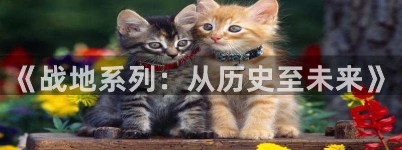 亿万28官网注册平台：《战地系列：从历史至未来》