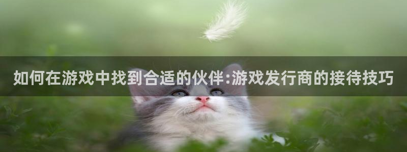 亿万28官网客服服务电话：如何在游戏中找到合适的伙伴:游戏发行商的接待技巧