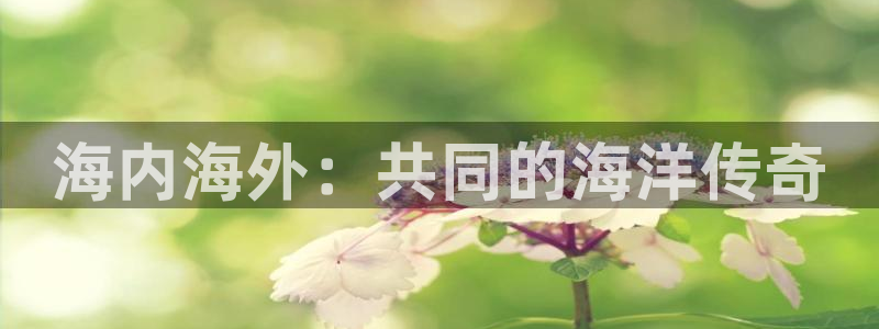 亿万28子文化：海内海外：共同的海洋传奇