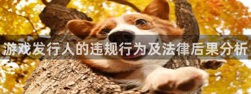 广州亿万28投资：游戏发行人的违规行为及法律后果分析