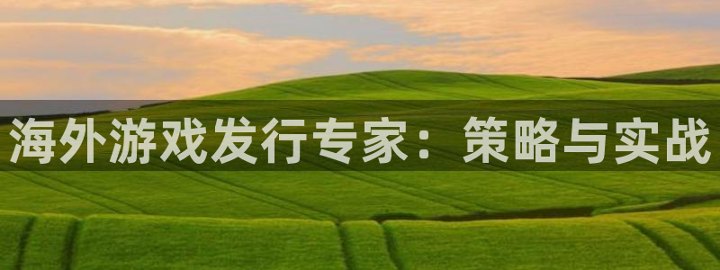 亿万28官网平台代理开号流程：海外游戏发行专家：策略与实战