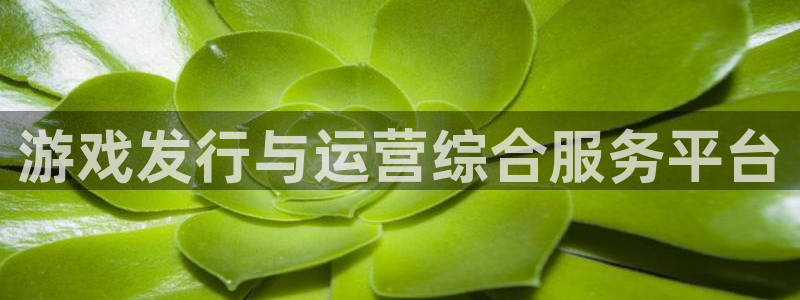 亿万28电子商务有限公司怎么样知乎：游戏发行与运营综合服务平台