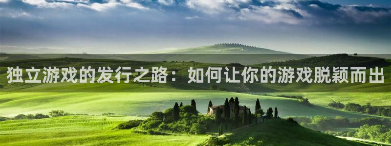 亿万28平台登录入口官网：独立游戏的发行之路：如何让你的游戏脱颖而出