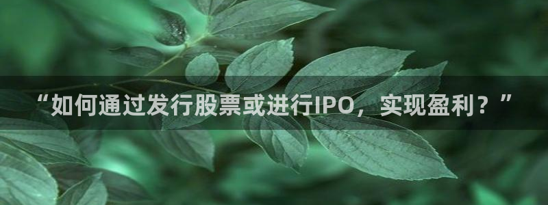 亿万28官网招商主管：“如何通过发行股票或进行IPO，实现盈利？”