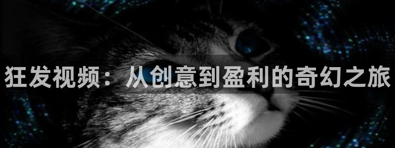 亿万28官网登录注册账号安全吗可靠吗：狂发视频：从创意到盈利的奇幻之旅
