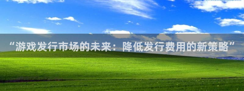 江苏亿万28：“游戏发行市场的未来：降低发行费用的新策略”