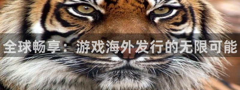 亿万28官网登录注册账号失败怎么办：全球畅享：游戏海外发行的无限可能