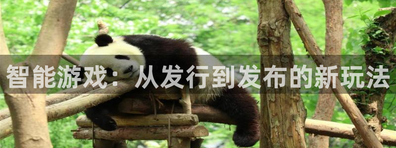 亿万28主管：智能游戏：从发行到发布的新玩法