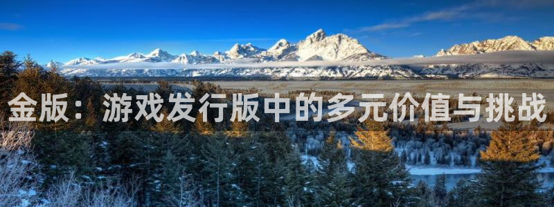 亿万28子怎么来的：金版：游戏发行版中的多元价值与挑战