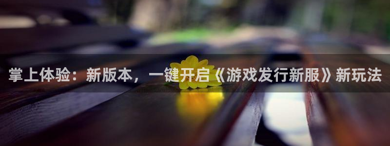 亿万28官网注册平台怎么注册不了：掌上体验：新版本，一键开启《游戏发行新服》新玩法